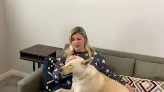 The best and worst things about owning a Jindo! (Michelle S.)