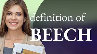 Beech | meaning of BEECH