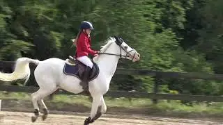 Inter Club 2020 - Cercle Equestre du Transvaal - 80cm ROSSOUX Linedys - BLANCO