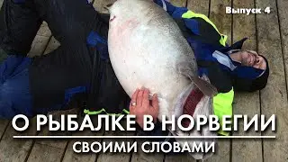 Рыбалка в Норвегии: выбор шнура