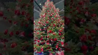 December in Zürich