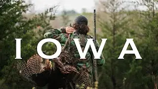 ARMY CRAWL?! | Iowa Turkey Hunt