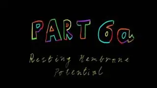1  Мембранный потенциал для занятия 1