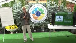 Как игроку зеленого рынка выйти из офлайна в онлайн. Александра Постнова на 