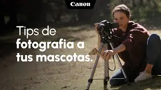 Tips Canon  de fotografia a tus mascotas