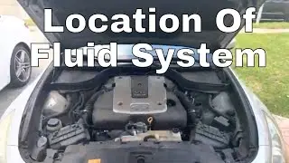 Infiniti G37 Under The Hood Fluid System Locations (Oil, Power Steering, Brake, Coolant, etc...)