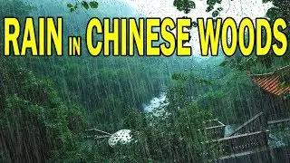 🎧 RAIN IN CHINESE WOODS | Ambient Noise For Relaxation, Sleep, Studying, @Ultizzz day#38