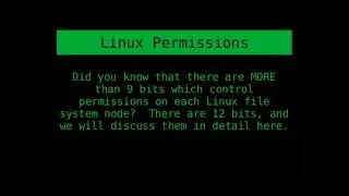Linux File System Permissions Explained in Detail (Including Special Permissions)