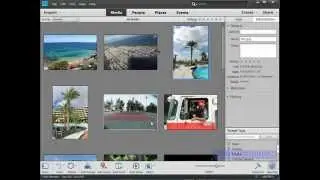 Organiser Vs Editor in Photoshop Elements 11