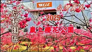 台灣真美 崴立櫻花公園