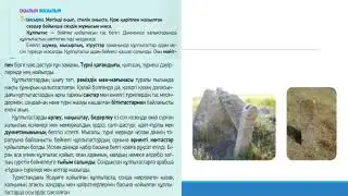 9 сынып  Тасқа қашалған жазулар