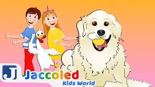 🐕🐾 BINGO Song! 🐶🐩 | Jaccoled Kids World Nursery Rhymes and Kids Songs
