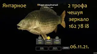 рр4! Янтарное 2 трофа за 1.5 часа зеркалка и чешуйчатый))