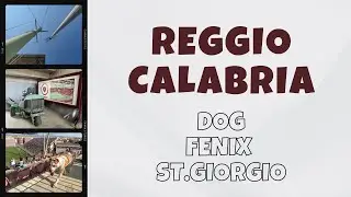 Reggio Calabria: dog, phoenix, St. George
