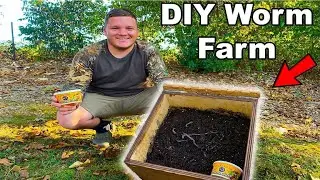 Building a DIY WORM FARM