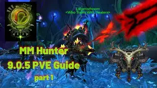 Marksman Hunter PVE Guide (9.0.5) Part 1- comprehensive info for BIG POWA