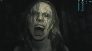 FX6300 + R7 370 Test Resident Evil 7