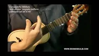 Cavaquinho movimento rasgado palheta vídeo didático EMLB