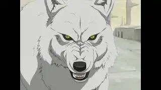 Wolf's Rain - Kiba meets Tsume