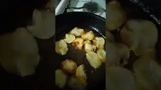 Лучшие моменты трансляции 