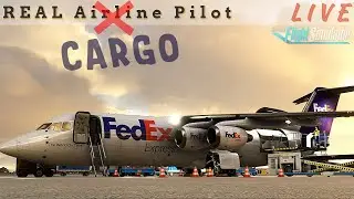 You wana be a Freight DAWG?! | Real AIRLINE Captain | BAE-146 CARGO | 