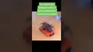 Мемы по ТикТоку #997