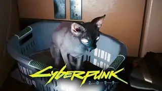 Cyberpunk 2077 How To Get Nibbles The Cat