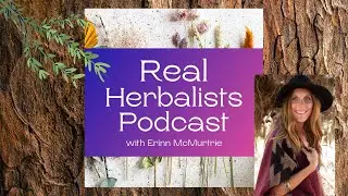 Episode 3: 10 Easy Projects for Beginner Herbalists