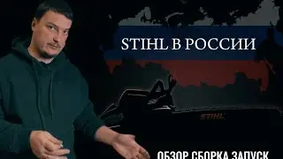 Привезли в Россию и проверили Stihl