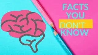 25 Most fascinating facts about human brain | Brain learning about brain