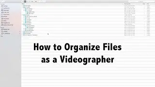 How to Organize Files as a Videographer | File Structure for Video Production