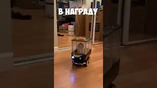 ИНТЕРЕСНЫЙ МИР | УДИВИТЕЛЬНЫЙ ЭКСПЕРИМЕНТ КАНАДСКОЙ ПАРЫ