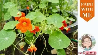 Art Livestream | N is for Nasturtiums
