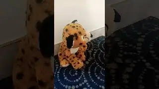 Обидили люцика?!