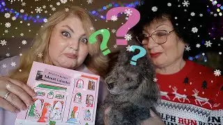 Наш собака в шоці! Собачий адвент календар!