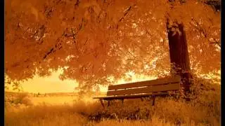 Ваня Чебанов  -- Подожди