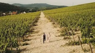 ShowReel /// KOLCHFILM