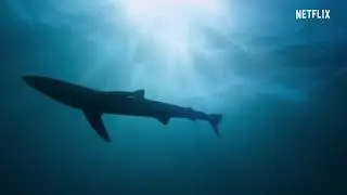 Our Planet