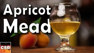 Easy Apricot Mead Recipe: Step-by-Step Tutorial