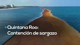 ¡Contraste en el Caribe! Puerto Morelos gana la batalla al sargazo con barreras efectivas