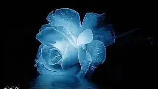 Vals~ Yan Frenkel~  *****