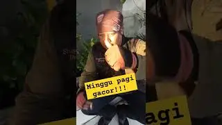 gacor gojeknya #gojek #online