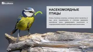 Школа ОЖЗ (5) - Борьба с вредителями на приусадебном участке