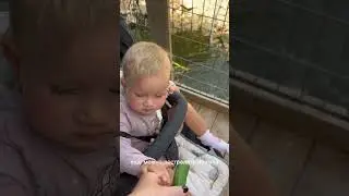 חוות הנדיב    Около Зихрон Якова