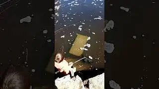 сазан на мормышку!