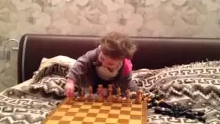Шахматы