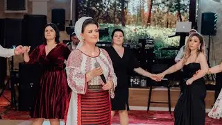 SUPER COLAJ 2023❌Steliana Sima❌Nunta Andreea&Iuli 