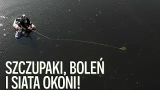 Dawno tak nie połowiłem na PZW. Wspaniałe rozpoczęcie sezonu na belly boat! | Ryba się chlapie