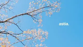 Fujifilm Astia Film Simulation Photos (Fujifilm X-Pro2 + 23mm F2)