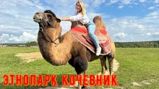 Этнопарк Кочевник.У верблюда 5 ног?